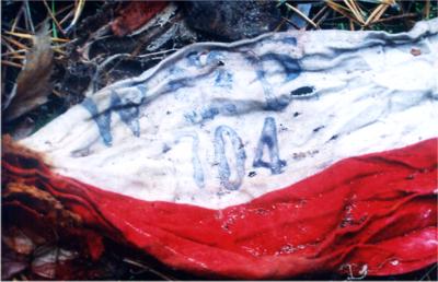 30.10.2004 - Rejon gaj�wki na Choszcz�wce - fot. Tomasz Fija�kowski